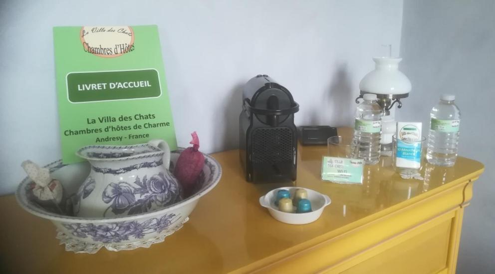 La Villa Des Chats Andresy Bagian luar foto